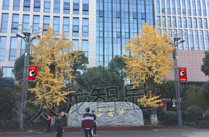 長沙LED燈桿屏與智慧路燈安裝現場.jpg